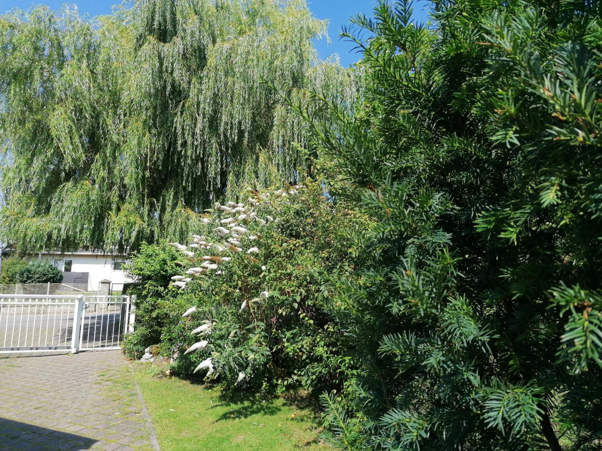 Pension Haus Anneliese Uckeritz Exterior photo